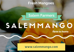 Salemmango