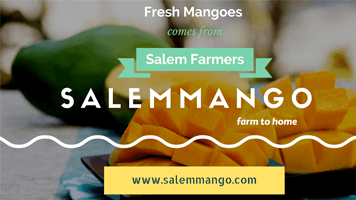 Salemmango