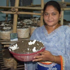 Mushroom Founder sri lakshmi