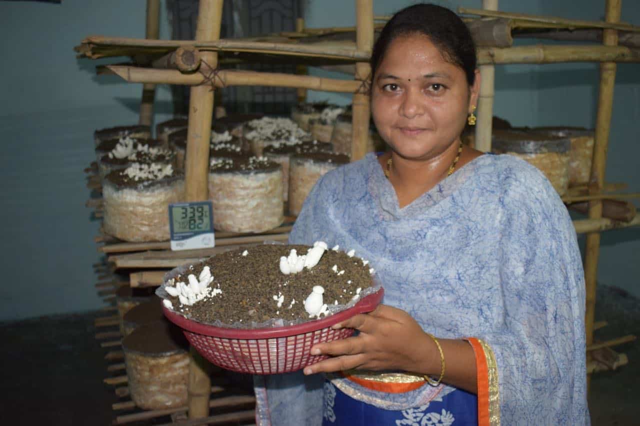 Mushroom Founder sri lakshmi