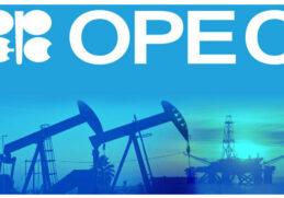 opec final-1